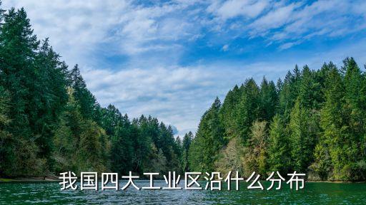 中國紡織電子,紡織電子龍頭
