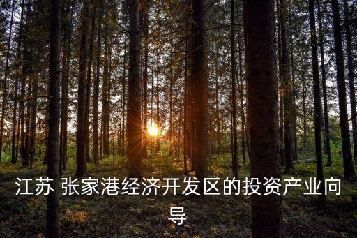江蘇 張家港經(jīng)濟(jì)開發(fā)區(qū)的投資產(chǎn)業(yè)向?qū)? class=