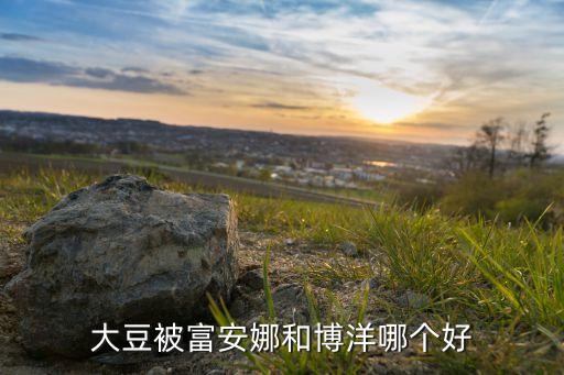大豆被富安娜和博洋哪個好