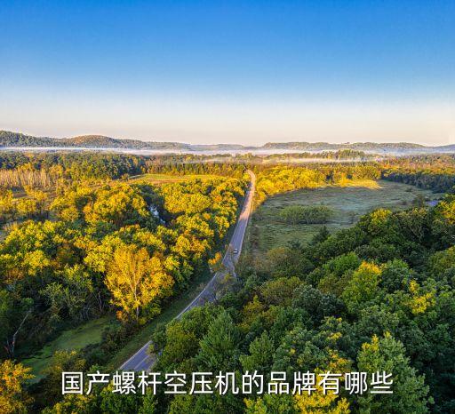 國產(chǎn)螺桿空壓機的品牌有哪些