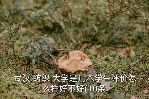  武漢 紡織 大學是幾本學生評價怎么樣好不好(10條