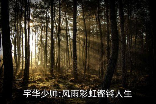 宇華少帥:風(fēng)雨彩虹鏗鏘人生