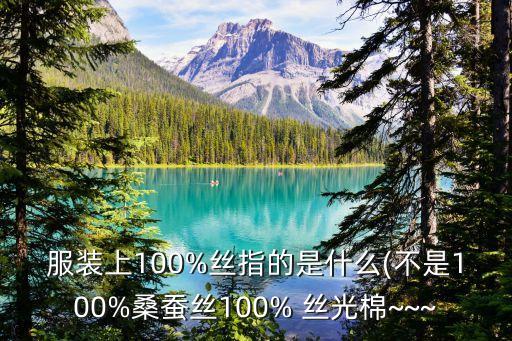 服裝上100%絲指的是什么(不是100%桑蠶絲100% 絲光棉~~~