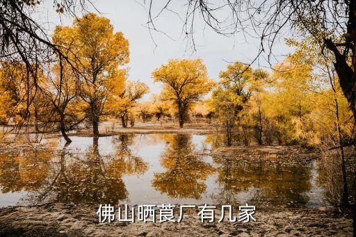 深圳市頂尚紡織股份有限公司,浙江頂尚集成家居股份有限公司