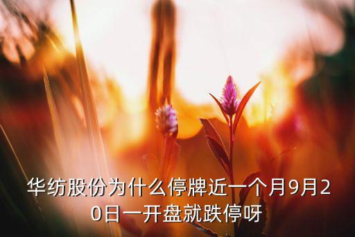 新疆華紡紡織有限公司,新疆中泰紡織集團有限公司