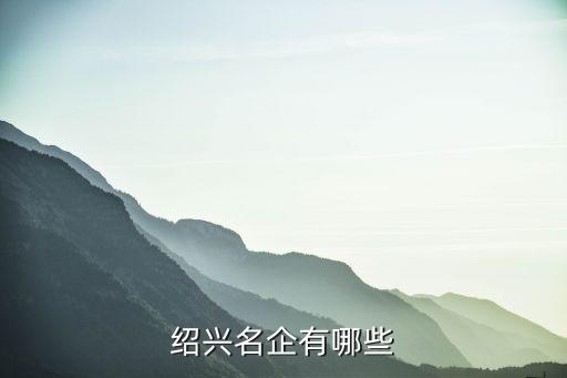 紹興名企有哪些