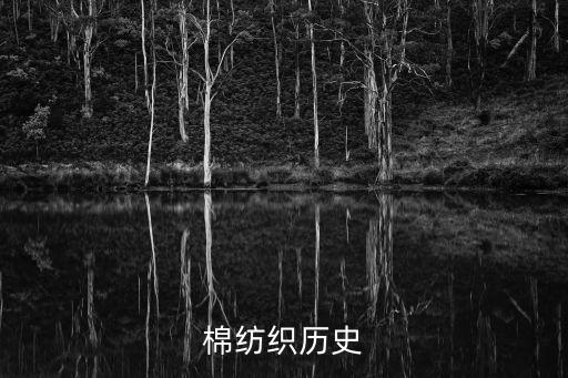 棉紡織業(yè)的發(fā)展,簡(jiǎn)要評(píng)析民國(guó)初年我國(guó)棉紡織業(yè)的發(fā)展