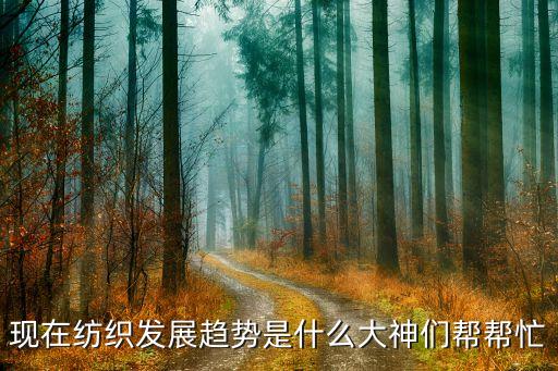 2013 中國(guó)紡織業(yè)表現(xiàn)分析