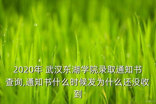 2020年 武漢東湖學(xué)院錄取通知書(shū)查詢(xún),通知書(shū)什么時(shí)候發(fā)為什么還沒(méi)收到