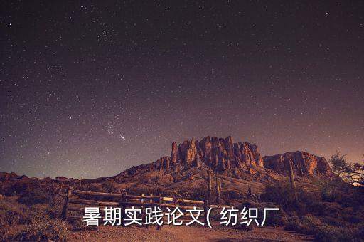 暑期實踐論文( 紡織廠