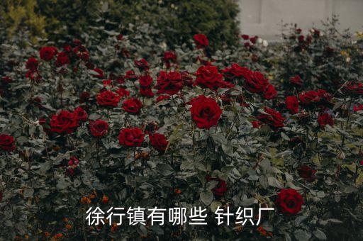 徐行鎮(zhèn)有哪些 針織廠