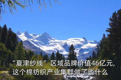 “夏津紗線”區(qū)域品牌價值46億元,這個棉紡織產(chǎn)業(yè)集群做了些什么