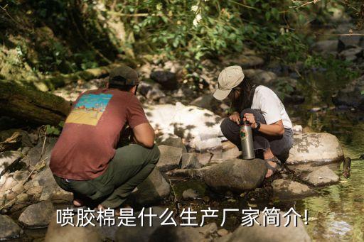 南通開發(fā)區(qū)夏津金源棉業(yè)有限公司