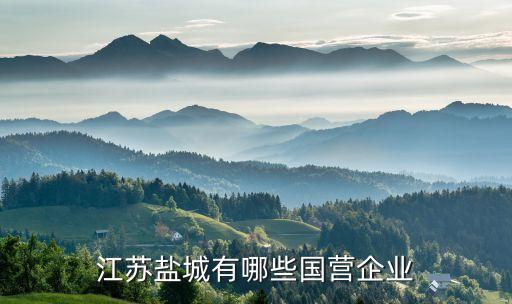 江蘇鹽城有哪些國(guó)營(yíng)企業(yè)
