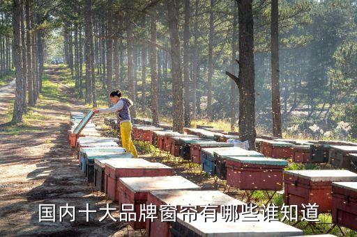 國內(nèi)十大品牌窗簾有哪些誰知道