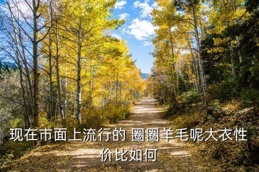 現(xiàn)在市面上流行的 圈圈羊毛呢大衣性價比如何