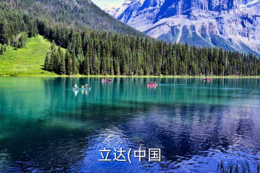 立達(dá)(中國