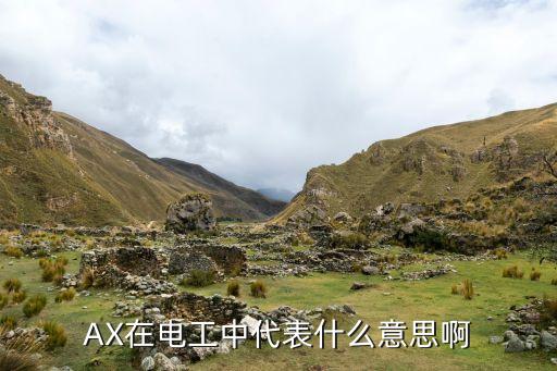 AX在電工中代表什么意思啊