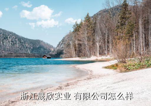  浙江晟欣實(shí)業(yè) 有限公司怎么樣