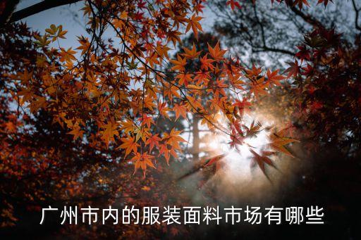  廣州市內(nèi)的服裝面料市場有哪些
