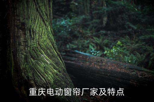 重慶電動(dòng)窗簾廠家及特點(diǎn)