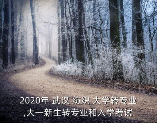 2020年 武漢 紡織 大學(xué)轉(zhuǎn)專業(yè),大一新生轉(zhuǎn)專業(yè)和入學(xué)考試