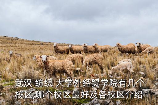  武漢 紡織 大學(xué)外經(jīng)貿(mào)學(xué)院有幾個(gè)校區(qū),哪個(gè)校區(qū)最好及各校區(qū)介紹