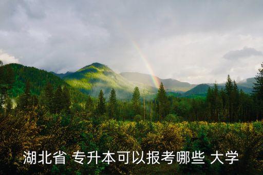 湖北省 專(zhuān)升本可以報(bào)考哪些 大學(xué)