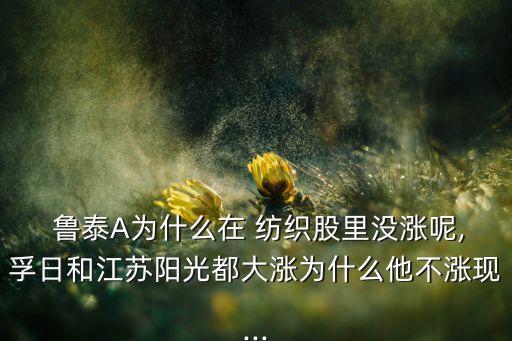 魯泰紡織貼吧,山東魯泰紡織大學(xué)生待遇