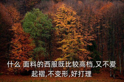 什么 面料的西服既比較高檔,又不愛起褶,不變形,好打理