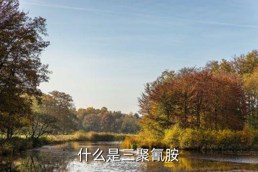 什么是三聚氰胺