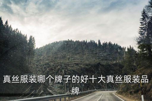 吳江絲科服飾有限公司,軼絲科那電氣(上海)有限公司