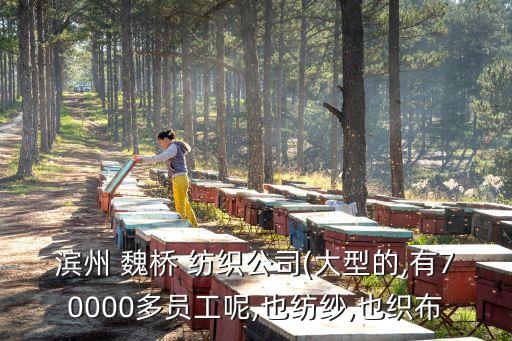 濱州 魏橋 紡織公司(大型的,有70000多員工呢,也紡紗,也織布