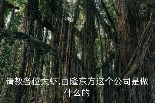 請教各位大蝦,百隆東方這個公司是做什么的