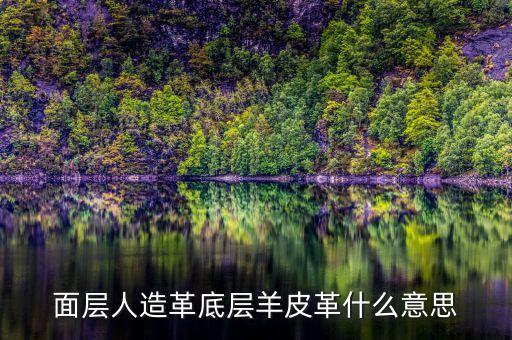 面層人造革底層羊皮革什么意思