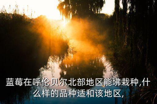 杭州山杉紡織品,杭州輕工工藝紡織品