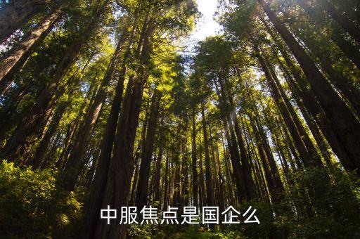 中服焦點是國企么