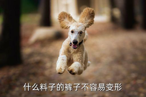 面料厚實硬挺的衣服,好的衣服是不是面料硬挺