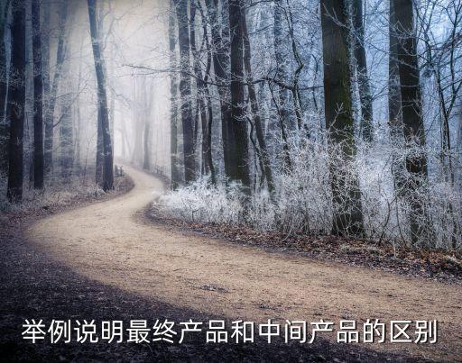 舉例說明最終產(chǎn)品和中間產(chǎn)品的區(qū)別