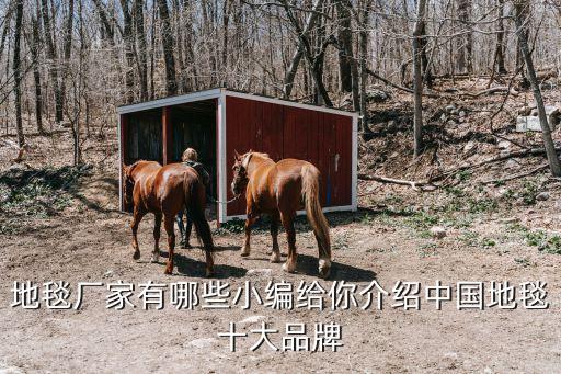 地毯廠家有哪些小編給你介紹中國地毯十大品牌
