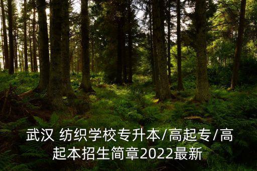  武漢 紡織學(xué)校專升本/高起專/高起本招生簡章2022最新