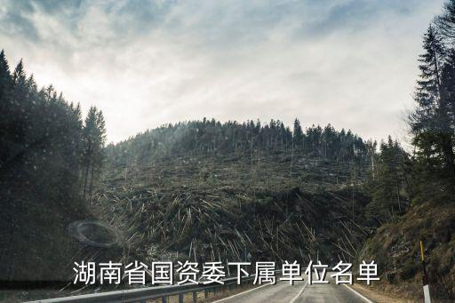 湖南省國資委下屬單位名單