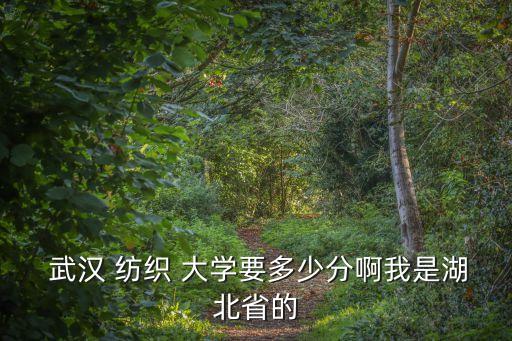 武漢紡織大學(xué)查詢錄取
