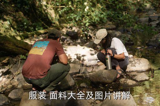 服裝 面料大全及圖片講解