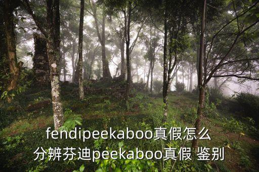 fendipeekaboo真假怎么分辨芬迪peekaboo真假 鑒別