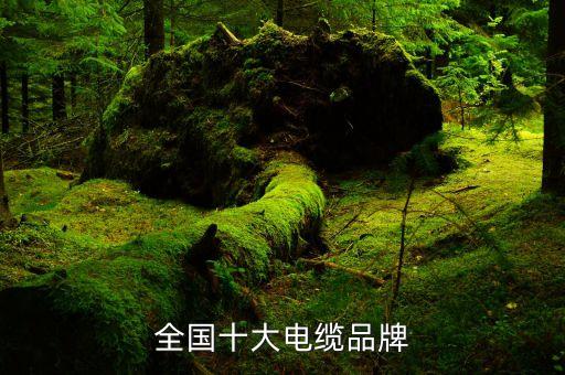 嘉興市宏亮紡織有限公司,海寧宏亮紡織有限公司