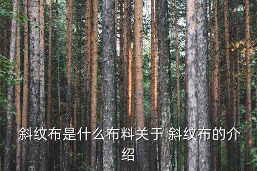 彈力斜紋是什么面料,tc彈力斜紋面料的優(yōu)缺點(diǎn)
