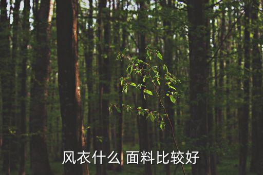風(fēng)衣什么 面料比較好