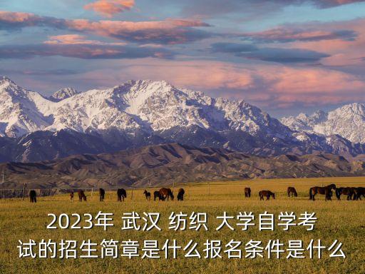 2023年 武漢 紡織 大學自學考試的招生簡章是什么報名條件是什么