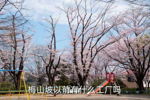 梅山坡以前有什么工廠(chǎng)嗎